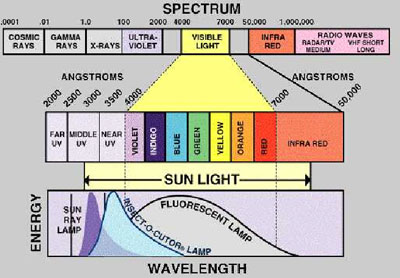 Grafico-UV